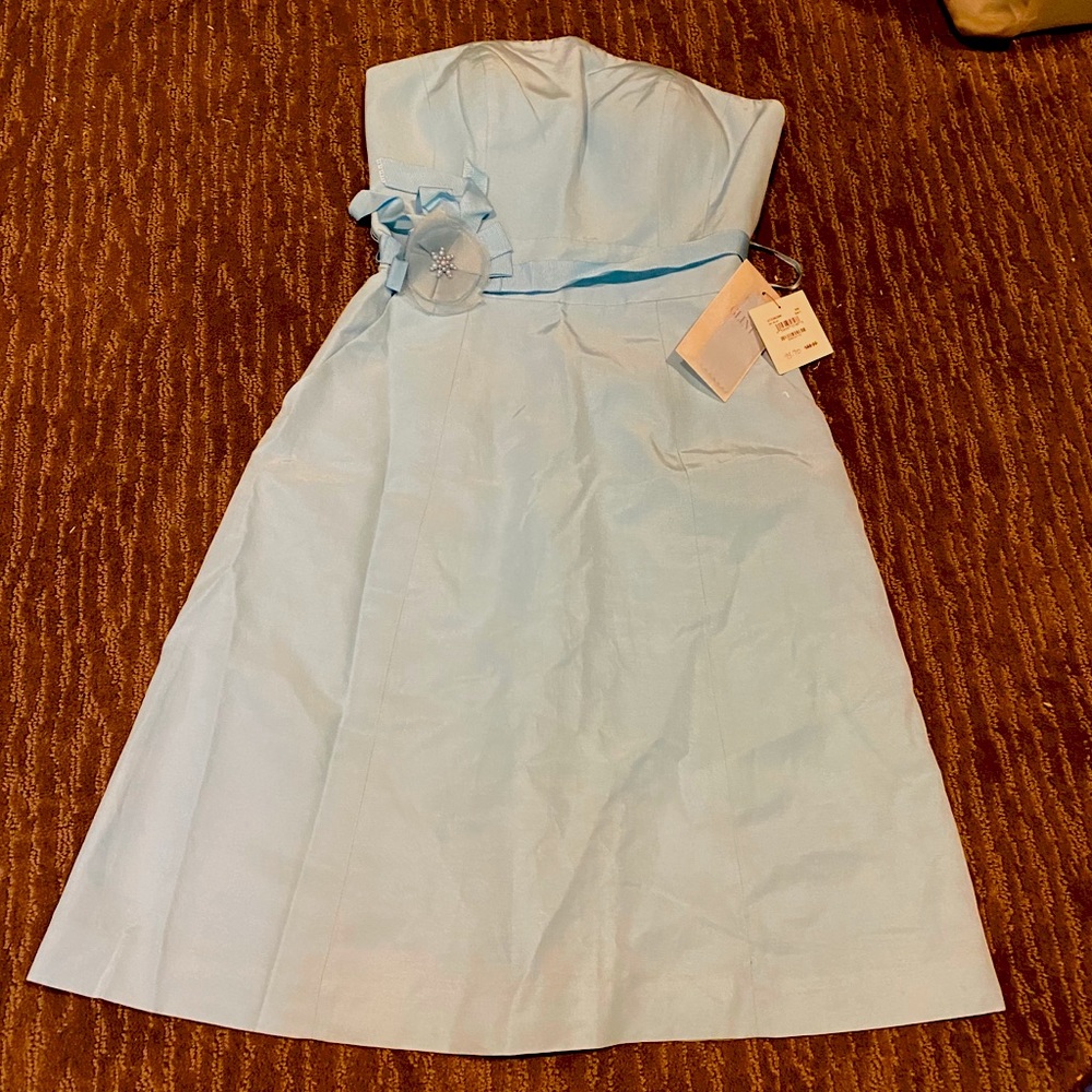 Glint strapless dress new